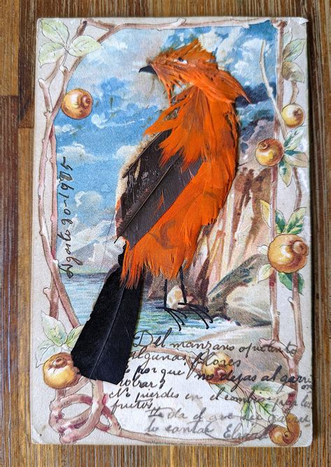 Fisher Victorian Revival <b>Bird</b> <b>Feather</b> Double Sided Pendant w. . Antique bird pictures with real feathers